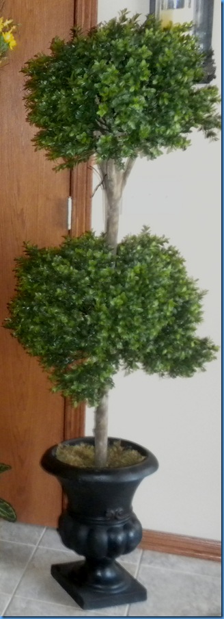 DSCN0836