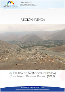 Región Yunga