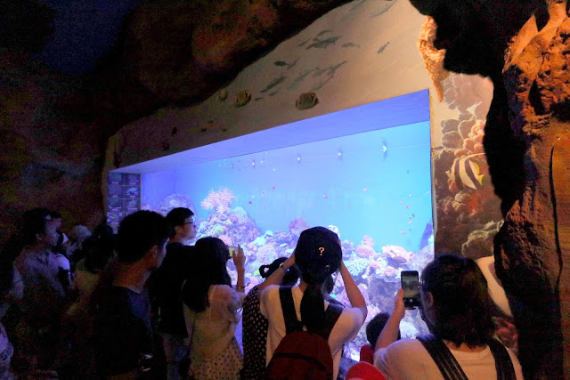 珠海長隆海洋王國．世界最大水族館