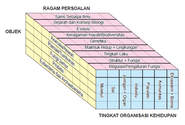 Apa saja ruang lingkup biologi?