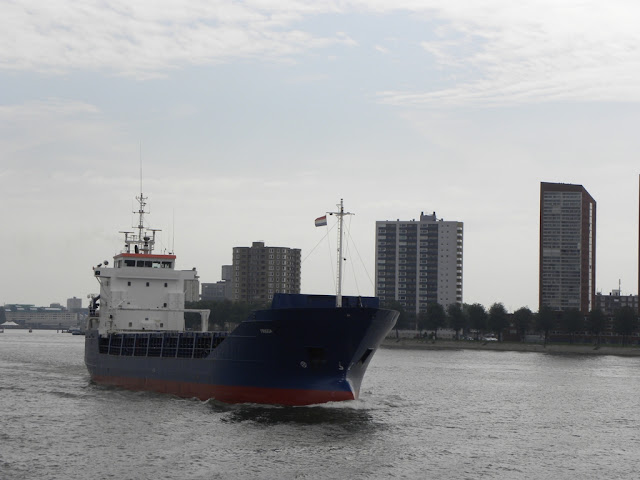 Harbour Rotterdam