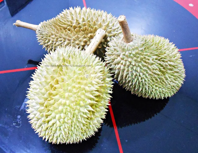 DURIAN THE KING OF FRUITS OF SOUTHEAST ASIA