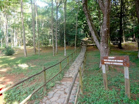 Horto Florestal de São Paulo ou Parque Estadual Albert Löfgren