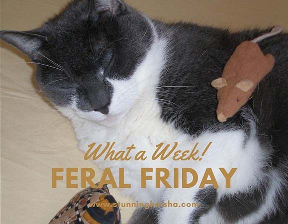 Feral Friday: What a Week