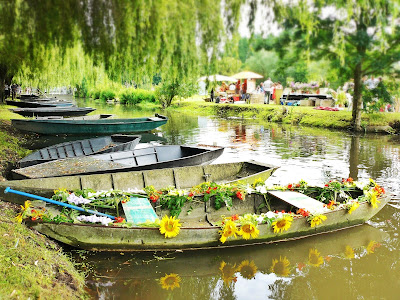 French village diaries Marais Poitevin Le Vanneau market France