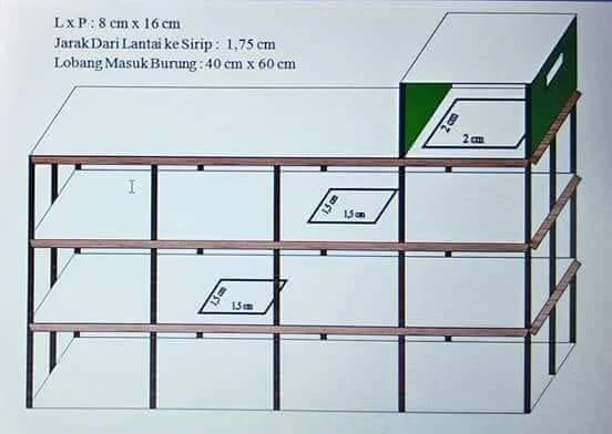 Kỹ thuật xây dựng nhà yến thông tầng lệch