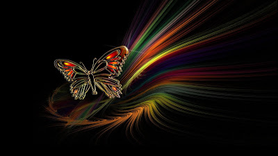 BUTTERFLY HD WALLPAPER