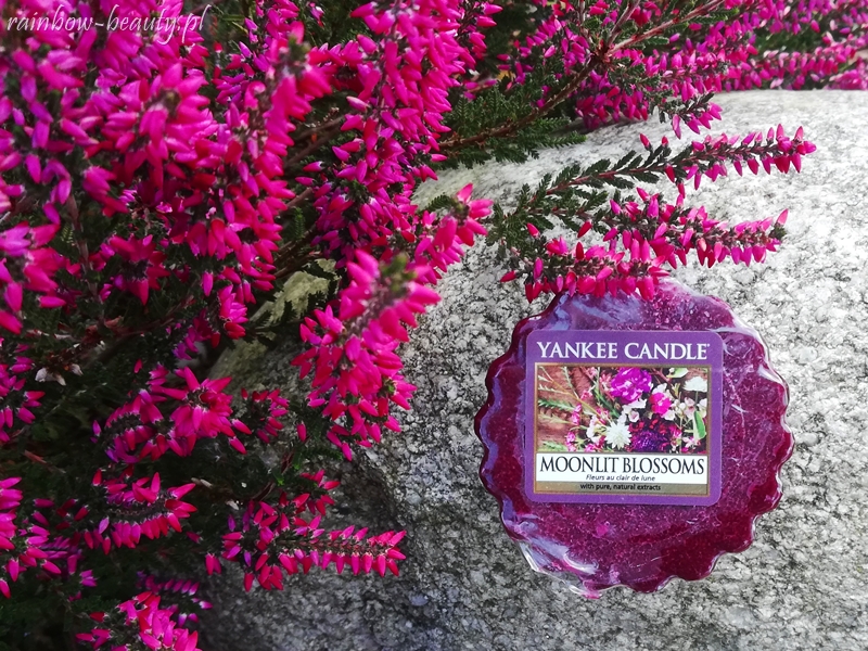 moonlit-blossoms-yankee-candle-opinie-blog