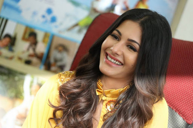 Amyra Dastur Stills At Manasuku Nachindi Movie Interview