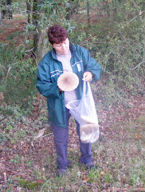 Foraging for Parasol Mushrooms Macrolepiota procera. Indre et Loire, France. Photographed by Susan Walter. Tour the   Loire Valley with a classic car and a private guide.