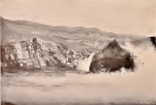 View looking toward the boiling crater lake.  In the foreground are seen some of the small pools referred to as the north beach of this lake.