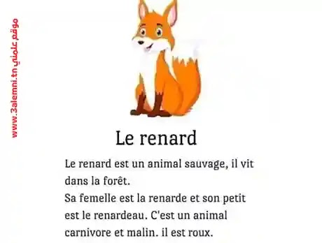 le renard le renard