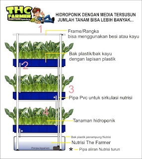 Hijau tanah sekangkang kera Ceritera C Camera