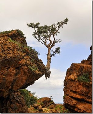 Living on the edge