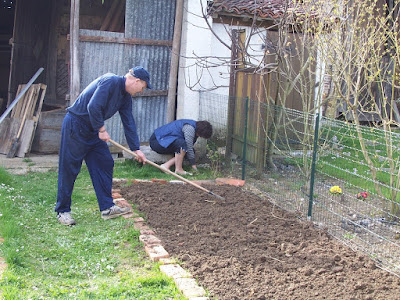 potager fleur