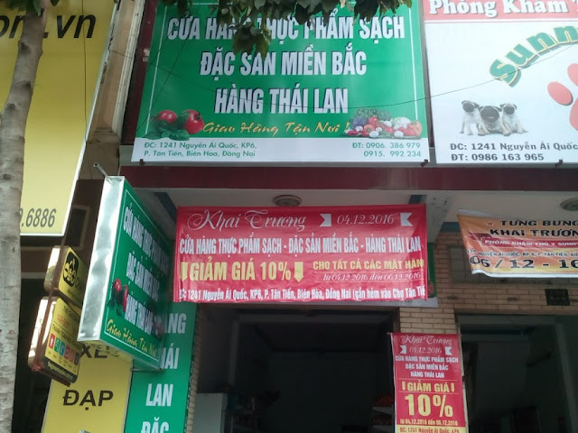 dich vu phat to roi bien hoa