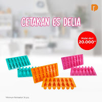 Dusdusan Cetakan Es Delia (Set of 36) ANDHIMIND