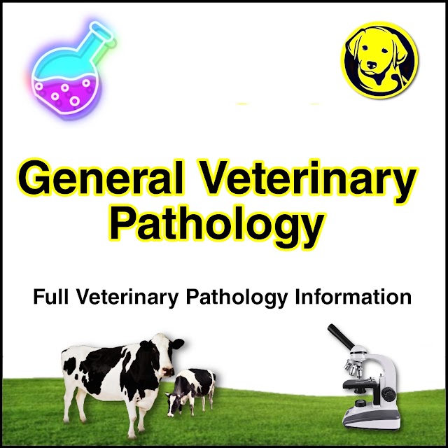 Free Download General Veterinary Pathology Full Pdf