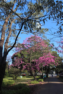 Praça Liberdade - Belo Horizonte - MG