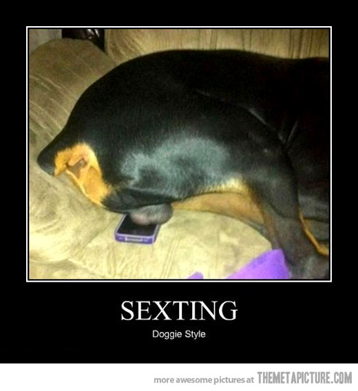 funny-cell-phone-dog-balls.jpg