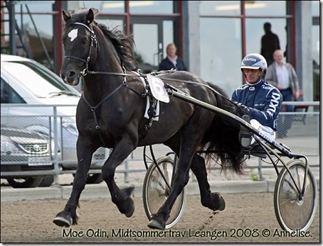 Moe-Odin-Leangen-juni2008_0