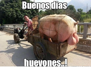 IMAGENES GRACIOSAS CON MENSAJES DE BUENOS DIAS PARA TODOS LOS DIAS IMAGENES GRACIOSAS CON MENSAJES DE BUENOS DIAS PARA TODOS LOS DIAS