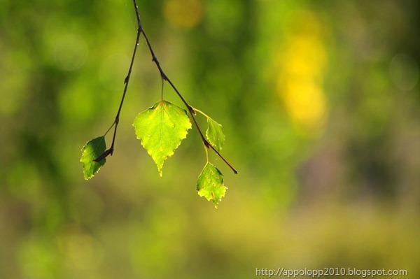2010-09-10__09_30_2700__Paul