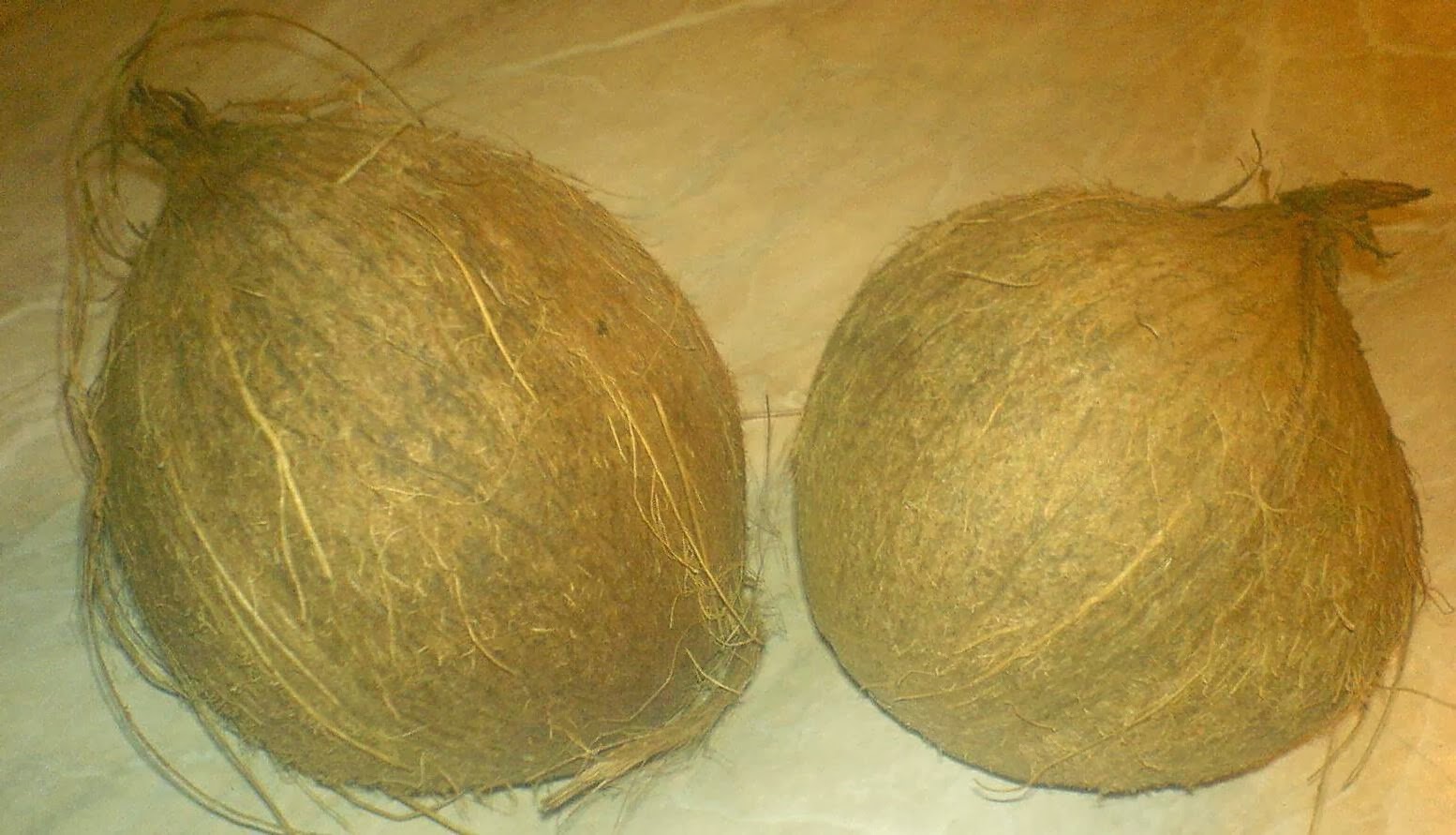 nuca, nuca de cocos, retete cu nuca de cocos, reteta cu nuca de cocos, preparate cu nuca de cocos, retete culinare, preparate culinare, cum alegem o nuca de cocos buna, cum cumparam o nuca de cocos sanatoasa, retete cocos, reteta cocos, nuci de cocos, nuci, 