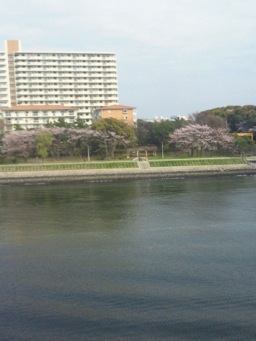 2013040114480000-2013-04-4-05-52.jpg