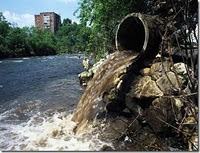 Resultado de imagen para CONSECUENCIAS DE LA CONTAMINACIÓN AMBIENTAL EN LA FLORA Y FAUNA