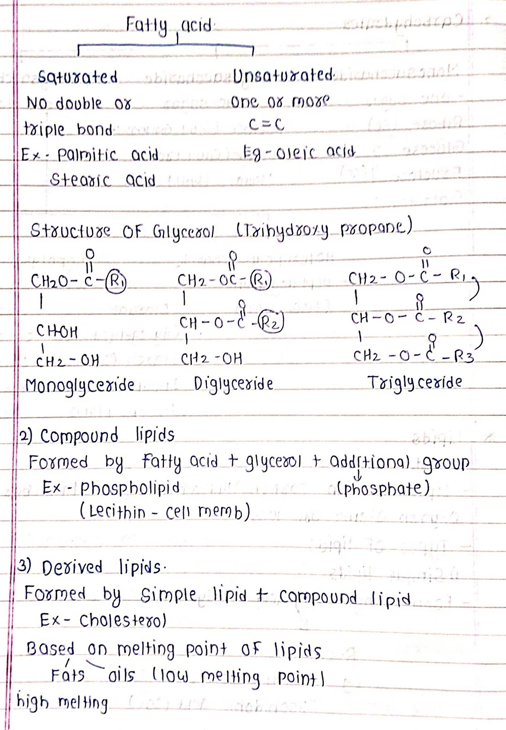 Biomolecules - Biology Short Notes 📚