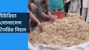 ইউরিয়া মোলাসেস তৈরীর নিয়ম