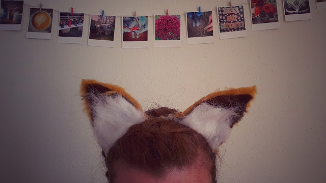 Project 365 2015 day 188 - Fox ears // 76sunflowers