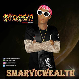 Smarvicwealth Ginger