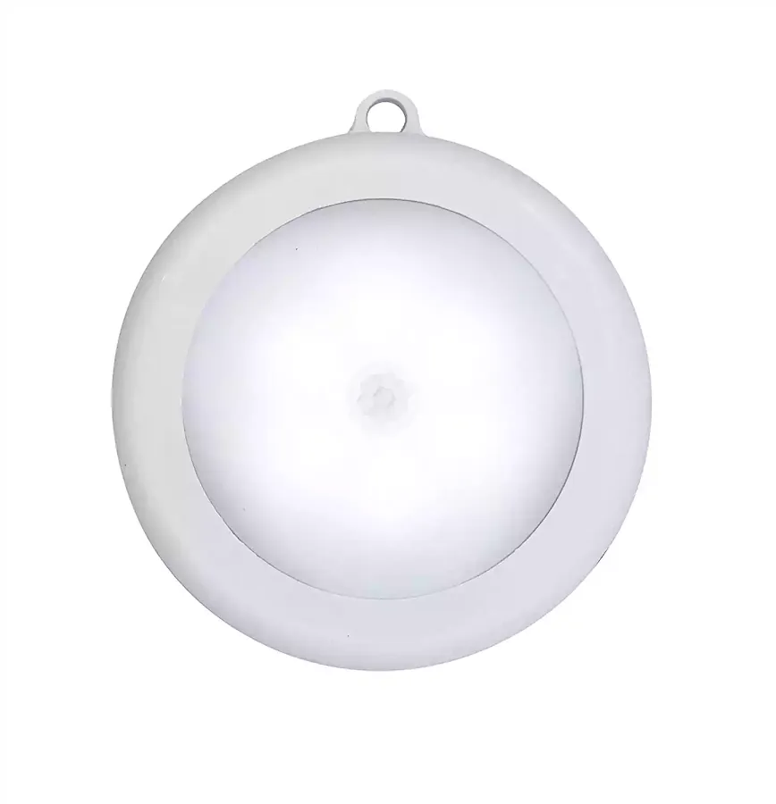 Motion Sensor Light