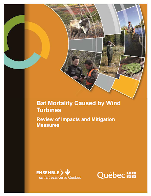 https://mffp.gouv.qc.ca/our-publications/bat-mortality-caused-by-wind-turbines/?lang=en