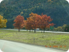 DSCN1125