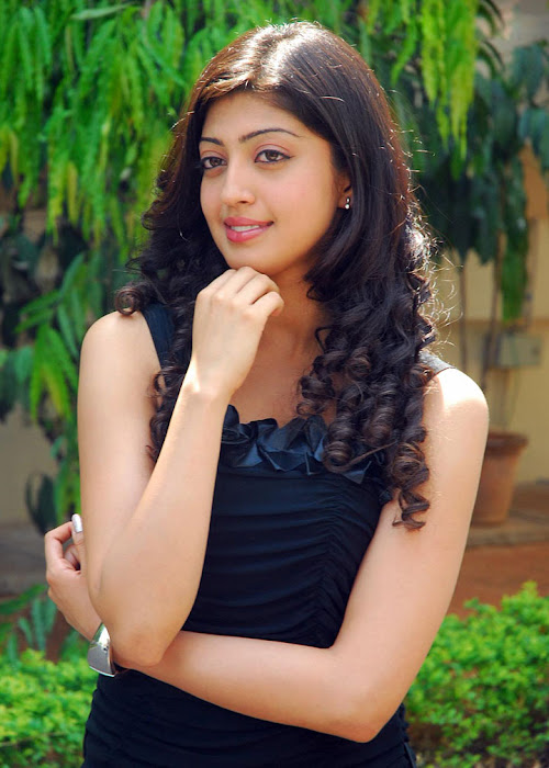 praneetha exclusivie telungu movie bava praneetha hot images