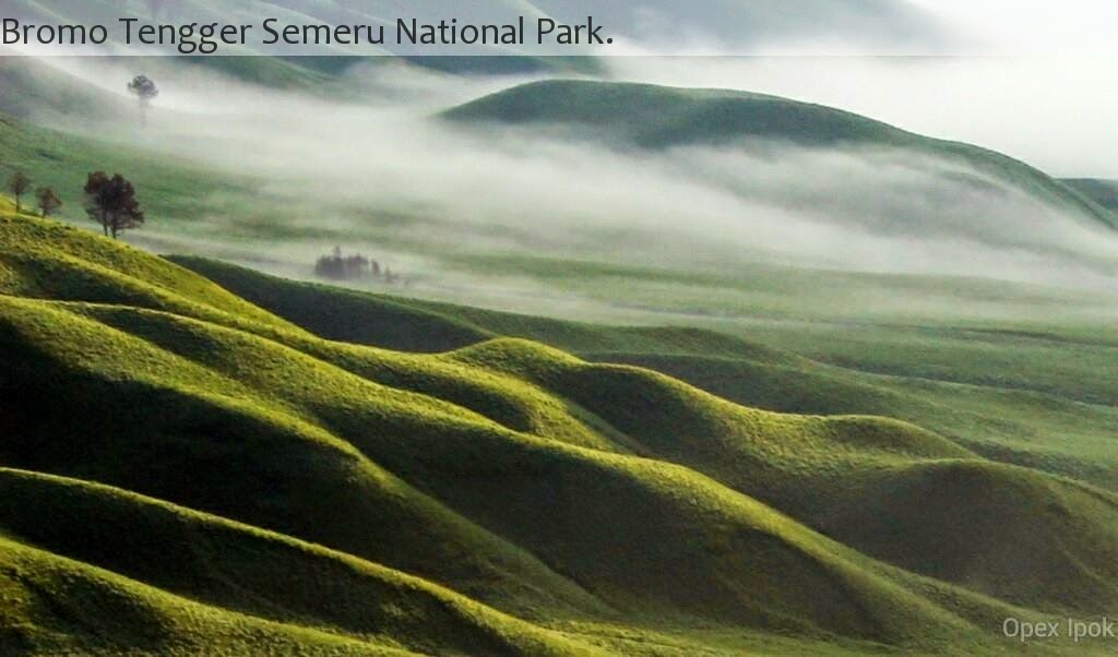 Bromo Tengger Semeru National Park.  Kolom Cerita