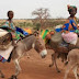 Bauchi’s pregnant women conveyed to hospitals on donkeys