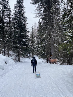 Discesa in slittino da Monte Piana