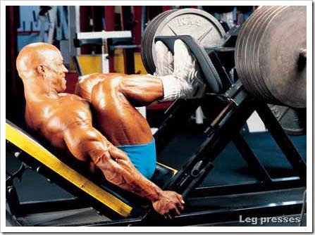 Shawn Ray LEG PRESS