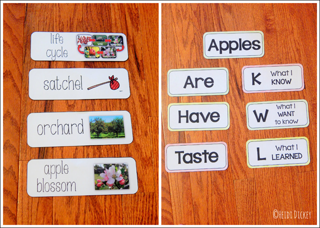 Apple Unit Vocabulary