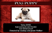 PUG PUPPY! Starts at $100. (Look up pricing for these adorable little dogs.