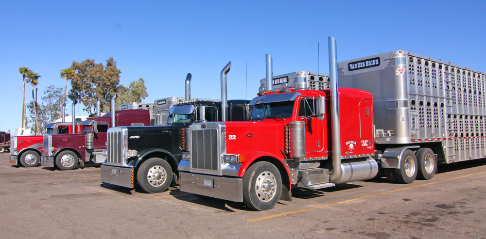 Gensther Tattoo: trucking canada