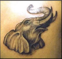 animal tattoos design