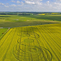 gambar crop circle, foto crop circle, alien, ufo, lingkaran tanaman, www.digaleri.com