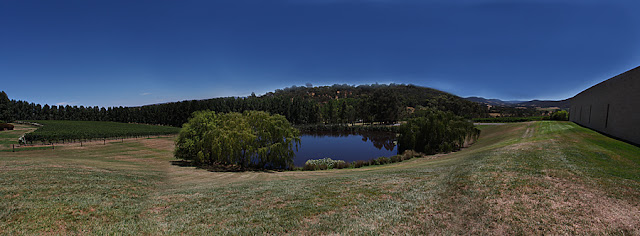 Tarra Warra panorama landscape