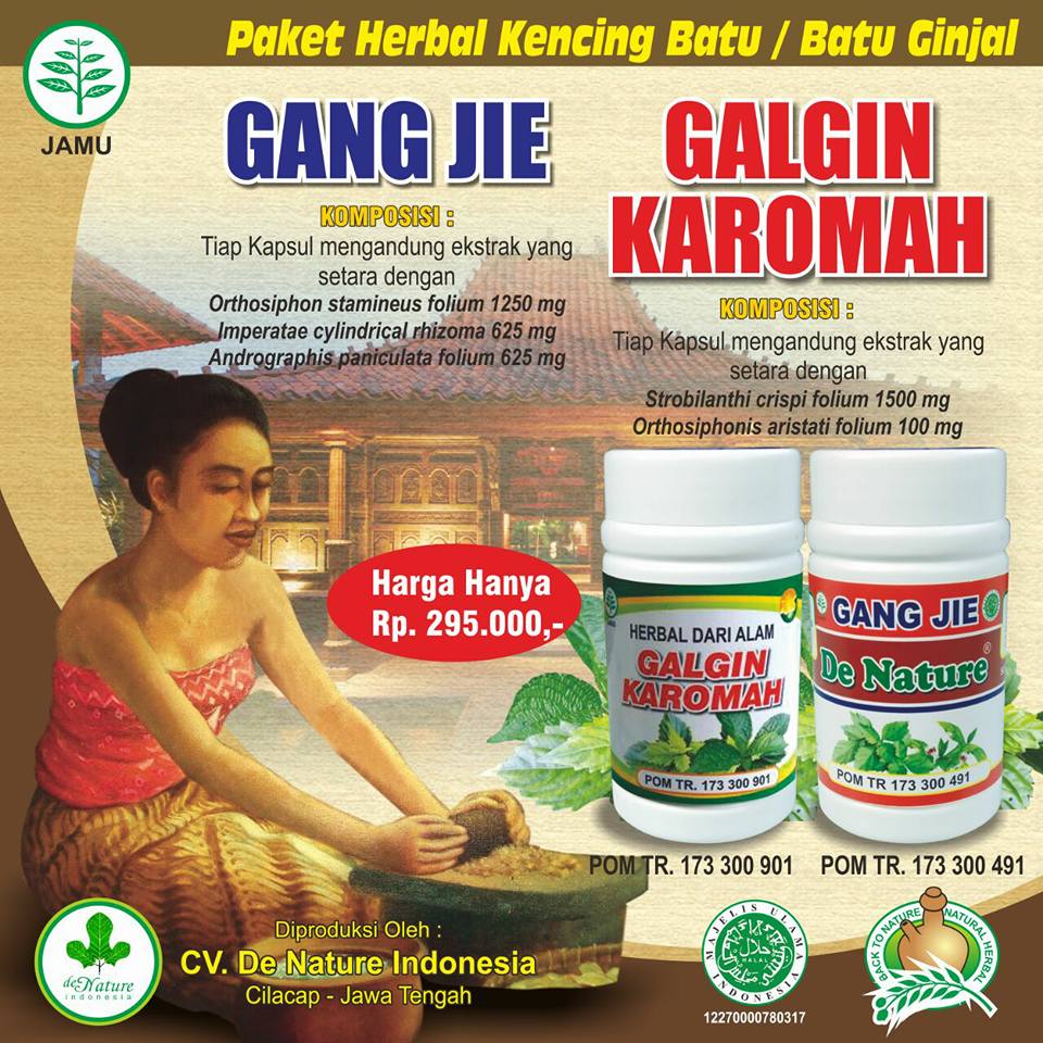 Galgin karomah obat batu ginjal pada pria