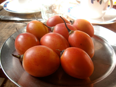 Tree Tomato | Tamarillo - Tyammatar in Nepali